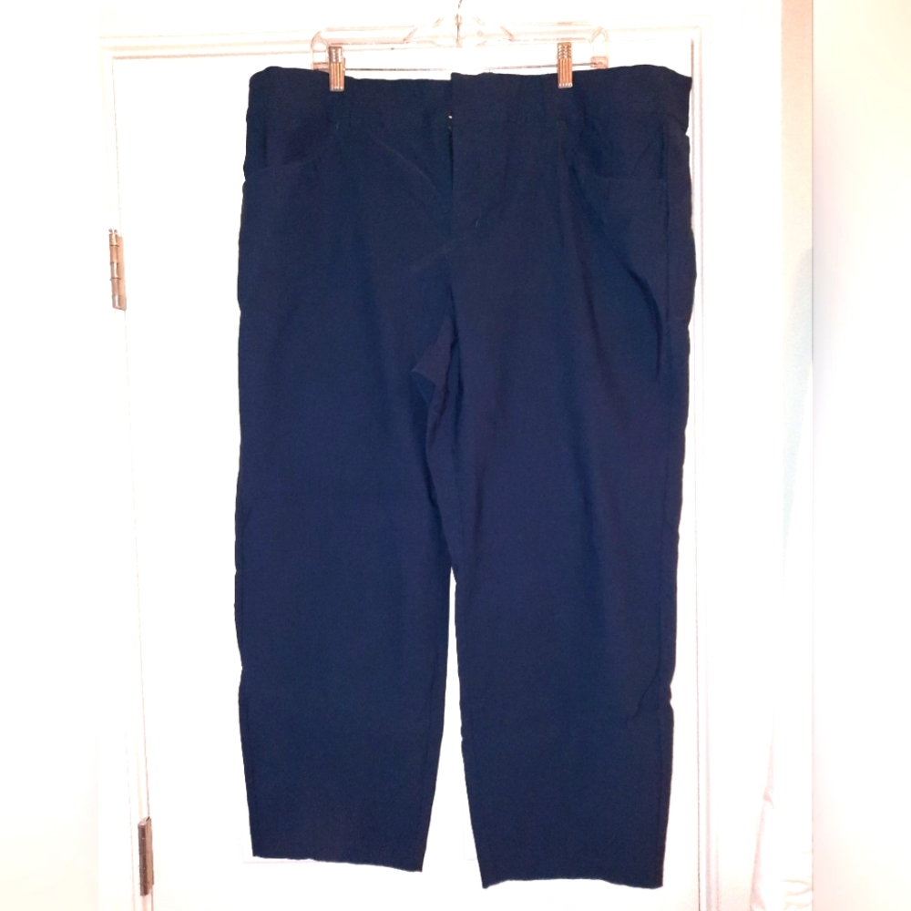 NWOT Torrid Suit Separate Slacks